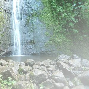 Manoa-Falls